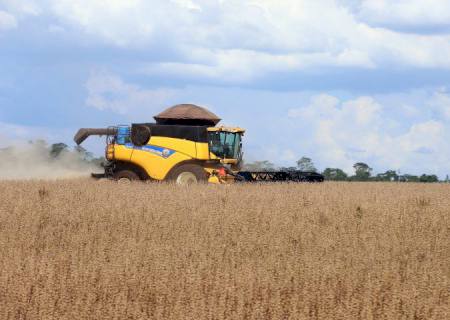 MS teve o maior crescimento do PIB do agronegócio entre os estados brasileiros